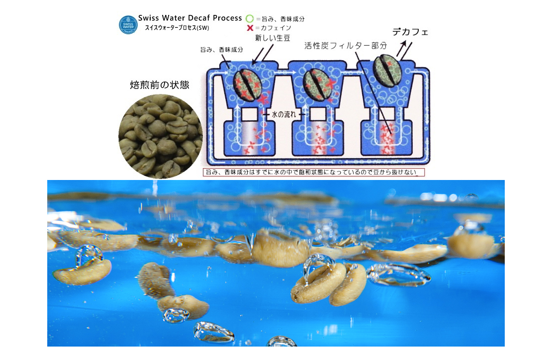 送料無料!スイスウォータープロセス「カフェインレスコロンビア」200gセット