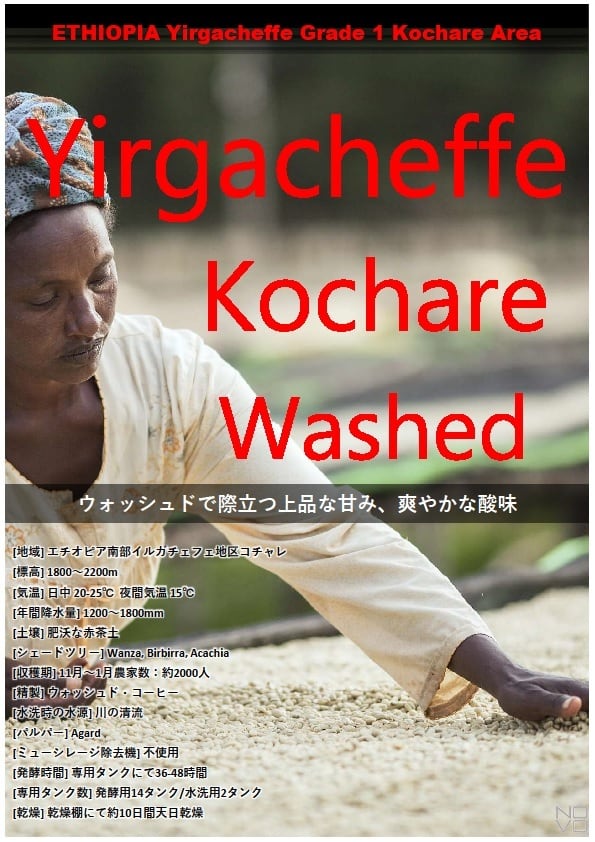 エチオピア産イルガチェフG1Washed フレッシュ&スイート 初恋の味「コチャレ」