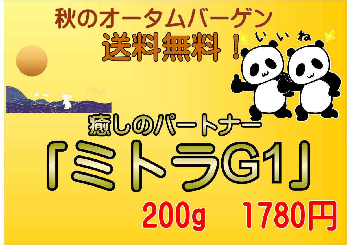 新入荷記念価格、送料無料！マンデリン極上品「ミトラG1」200ｇ