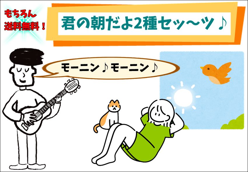 送料無料「モーニン♪モーニン♪君の朝だよ~セッツ!!」爽やかな目覚め2種×100g