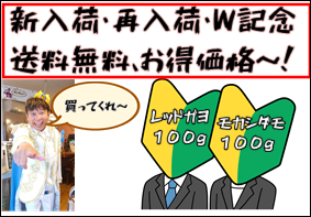 送料無料!新入荷・再入荷記念~!