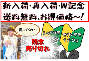 送料無料!新入荷・再入荷記念~!