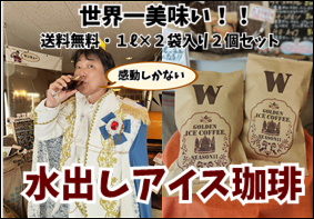 送料無料!2680円ポッキリ、ぼったくり無し!!『奇跡的に美味し過ぎる水出しアイスコーヒーW2個セッツ!!』