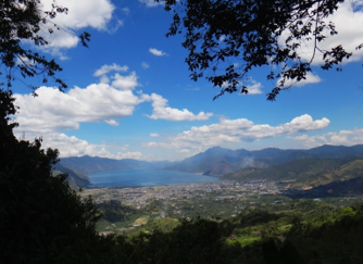 インドネシア産パワー！！「アチェ　ジャンボガヨ　S19」